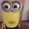 minionssss 24