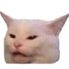 Funny cats #432 @StickersPackRobot 6