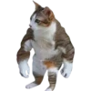 Funny cats #432 @StickersPackRobot 7
