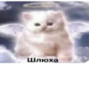 Шлюха