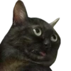 Funny cats #432 @StickersPackRobot 13