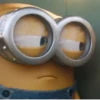 minions564465645456 9
