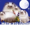 маты это плохо
