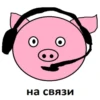 на связи