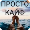 exclusive music portal 17