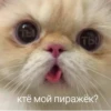 ты (ТЫ) ктё мой пиражёк?