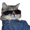 Funny cats #432 @StickersPackRobot 17
