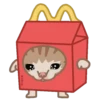 Michi Food 8