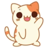 Cats @stickersb2b 13