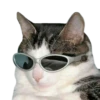 Funny cats #432 @StickersPackRobot 19