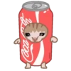 Michi Food 10