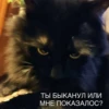 Котопак @motopara 13