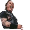Metallica 11