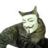 Funny cats #432 @StickersPackRobot 22