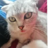 kittyy2 15