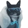 Funny cats #432 @StickersPackRobot 23