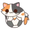 Cats @stickersb2b 16