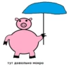 тут довольно мокро
