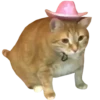 Funny cats #432 @StickersPackRobot 27