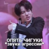lucen hames FxMJ 0000 ОПЯТЬ ЧИГУКИ звуки агрессии *