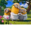 minions564465645456 24