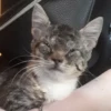 Котопак @motopara 19