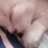 kittyy2 19