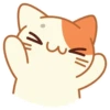 Cats @stickersb2b 24