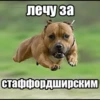 lpr_chat 5