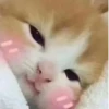 Стики 3084 из @Anonymnyi_chat_bot 8