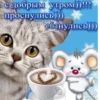Стики 4253 из @Anonymnyi_chat_bot 8