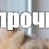 @chatt23 НАШ ЧАТ 8