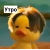 Crazy ducks 9