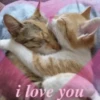 Стики 4253 из @Anonymnyi_chat_bot 12