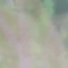 @chatt23 НАШ ЧАТ 10