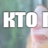 @chatt23 НАШ ЧАТ 11