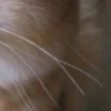 @chatt23 НАШ ЧАТ 12