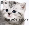 Стики 4253 из @Anonymnyi_chat_bot 13