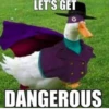Crazy ducks 12