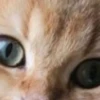 @chatt23 НАШ ЧАТ 16