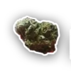 lpr_chat 16