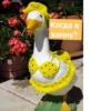 Crazy ducks 14