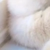 @chatt23 НАШ ЧАТ 19