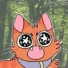 catswarriors 19