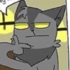 catswarriors 20