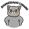 Мистер Кокос - @kooky_illustrations 16