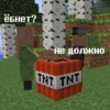 Fucking Minecraft 9