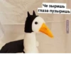 Crazy ducks 22