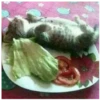 kitty 20