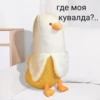 Crazy ducks 24